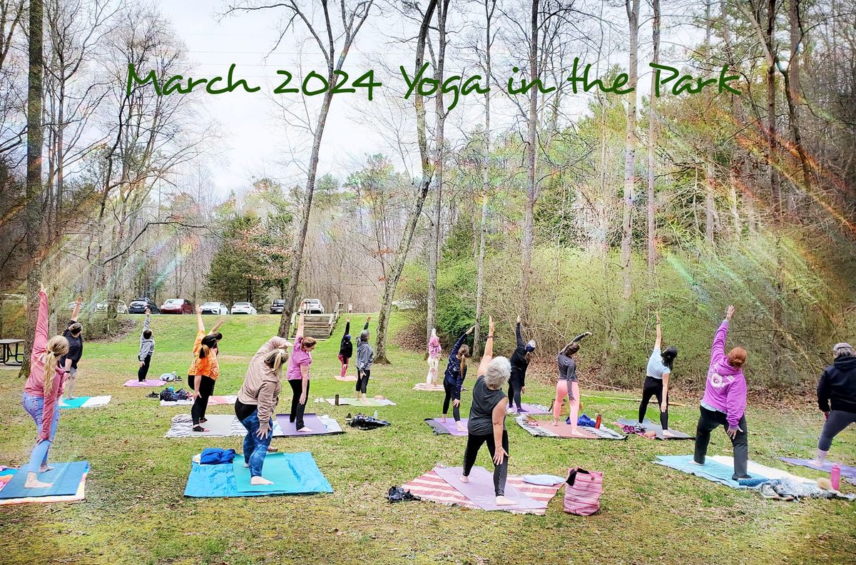 Yoga in the Park