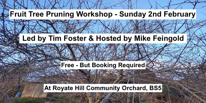 Fruit Tree Pruning Workshop