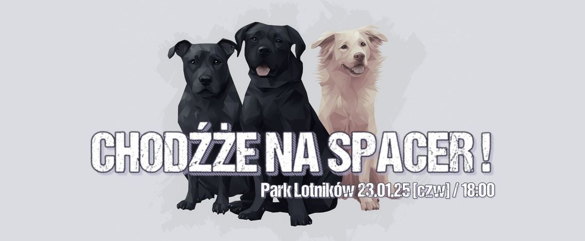 Spacer socjalizacyjny-r\u00f3wnoleg\u0142y, Park Lotnik\u00f3w