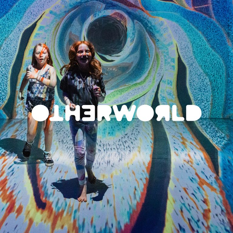 OTHERWORLD: An Immersive Art and Light Experience