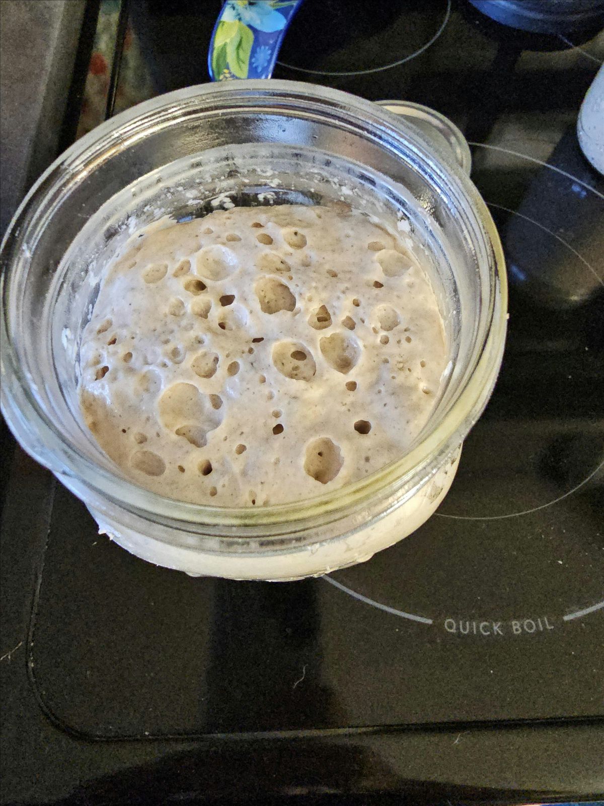 Sourdough Starter 101 Class  11\/10\/24