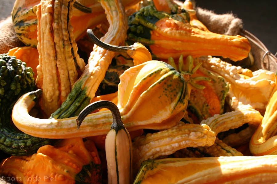 Fall Vendor Market