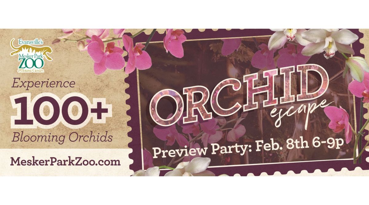 Orchid Escape Preview Party