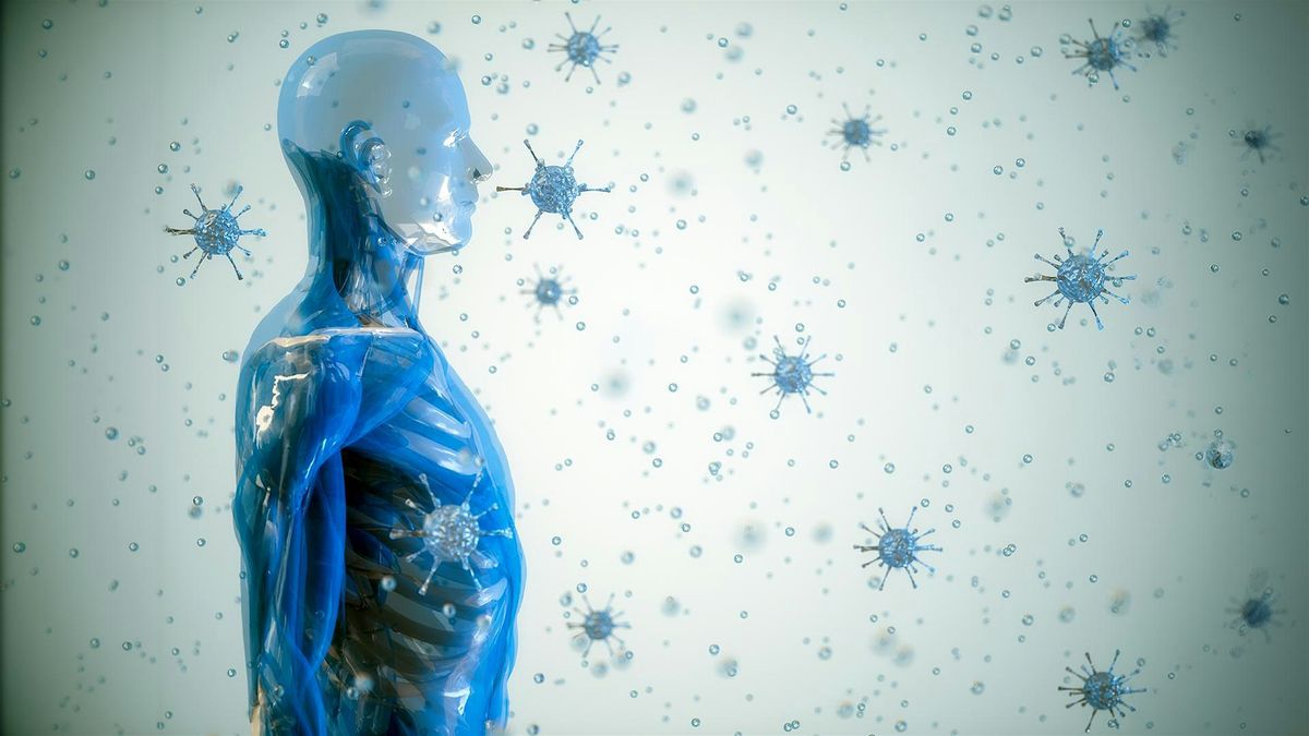 How Does Our Immune System Protect us?