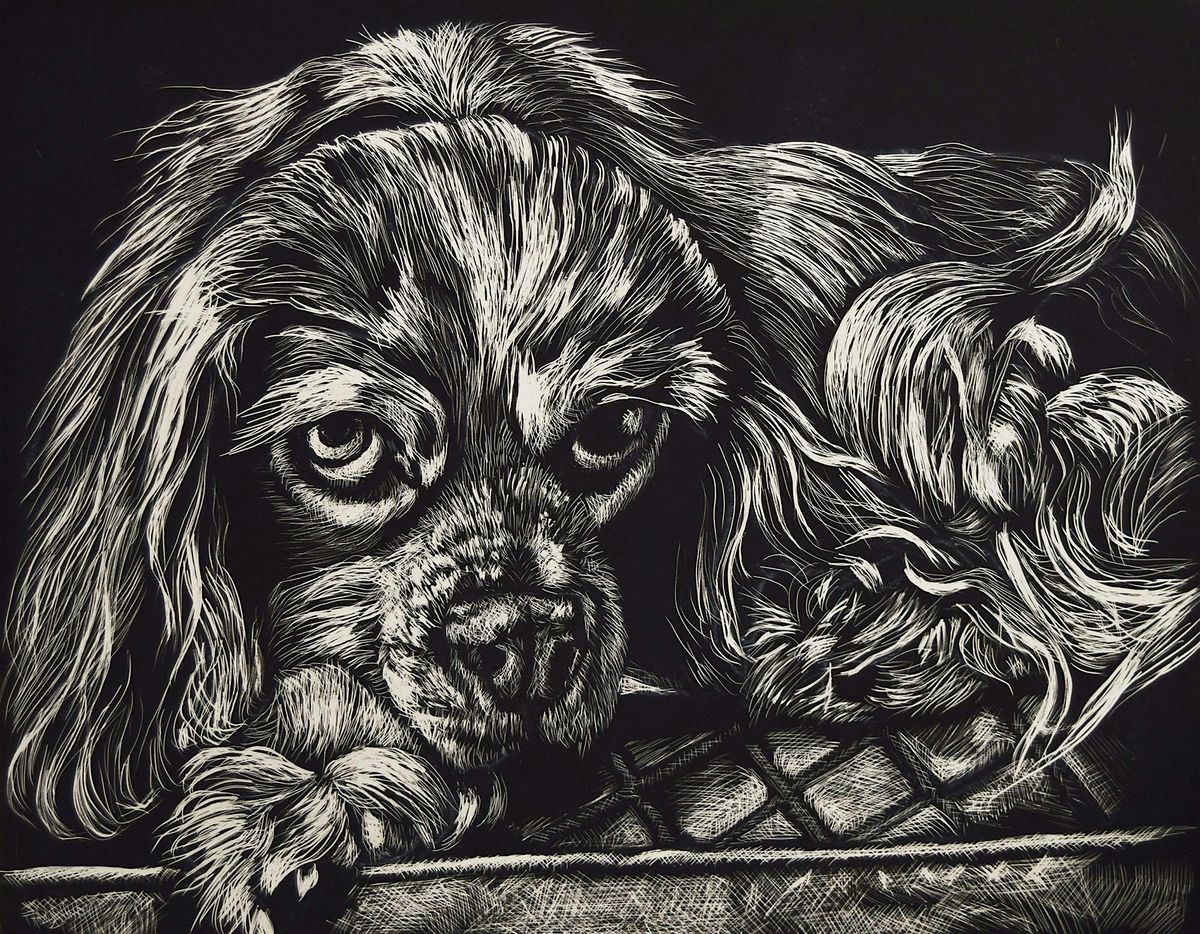 Working  with Scratchboard