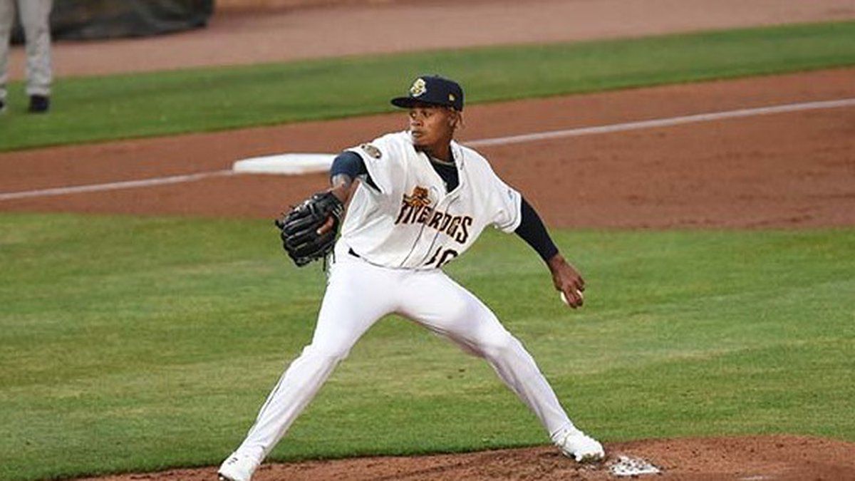 Charleston RiverDogs vs. Lynchburg Hillcats