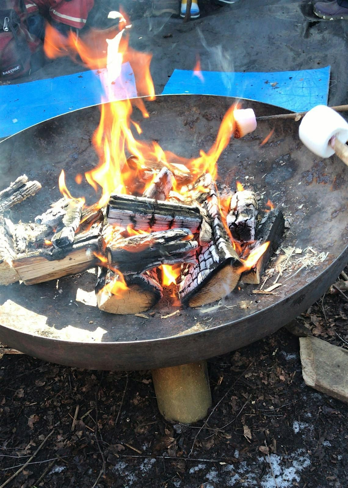 Nature's Classroom: Outdoor Learning and Bushcraft Skills Training