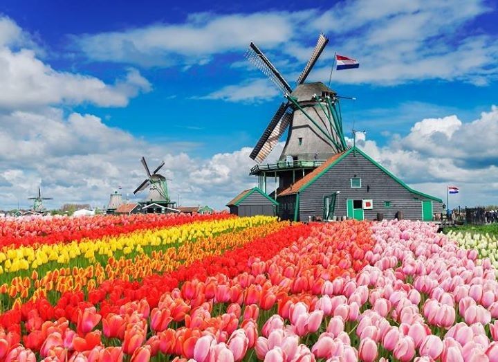 Departure Graf: Amsterdam & the Keukenhof Gardens (incl. City Canal Cruise)