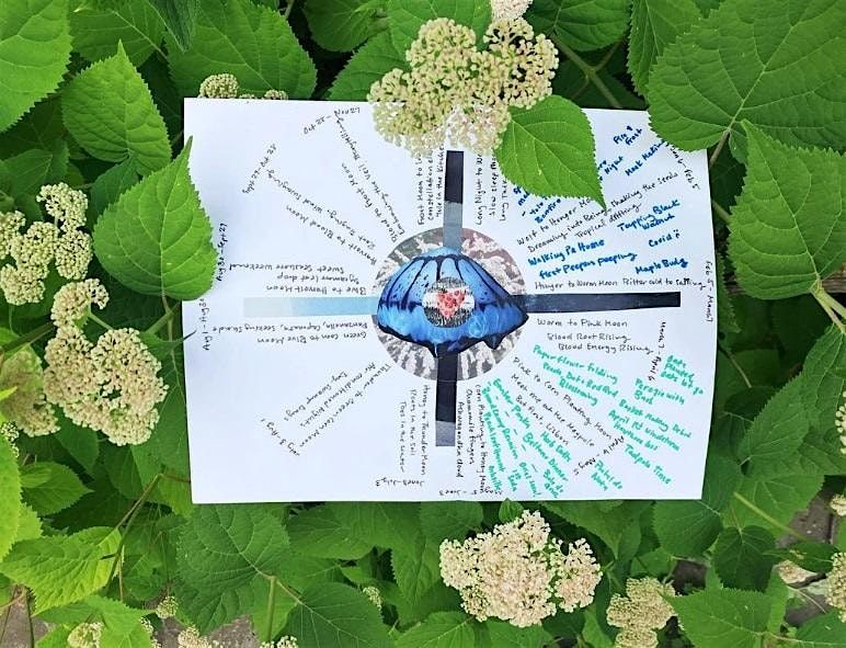 DIY Phenological Moon Calendar with Lacey Walker