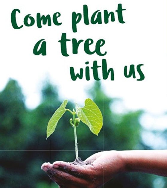 Community Tree  Planting