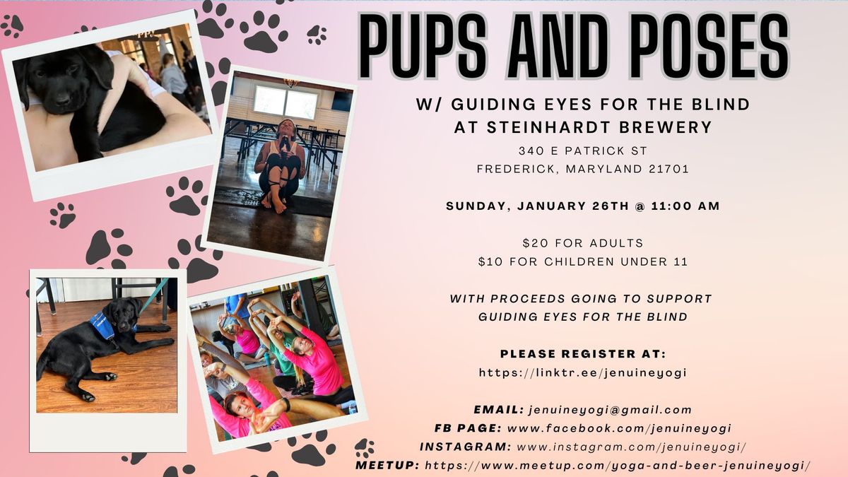 Pups and Poses w\/ PetConnect Rescue @ Steinhardt Brewery 