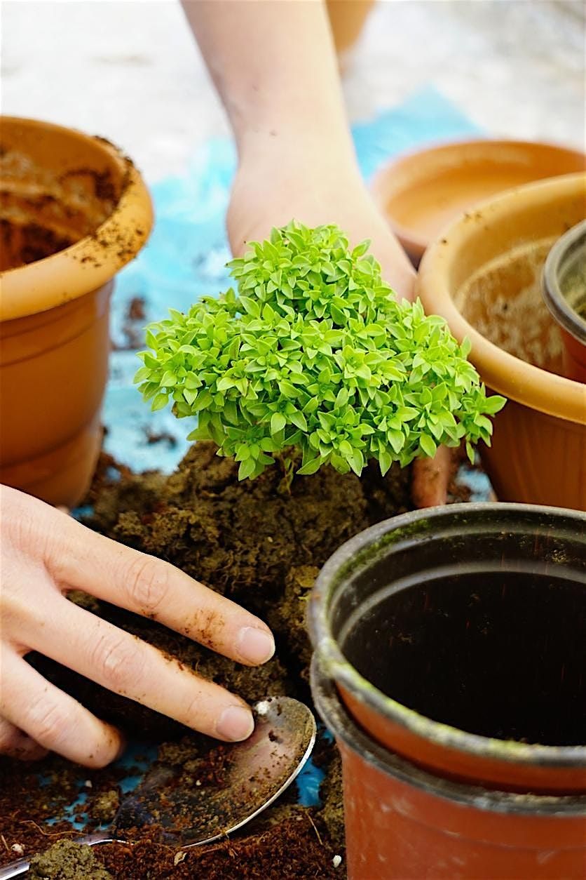 FREE Container Gardening Class (Spanish & English)