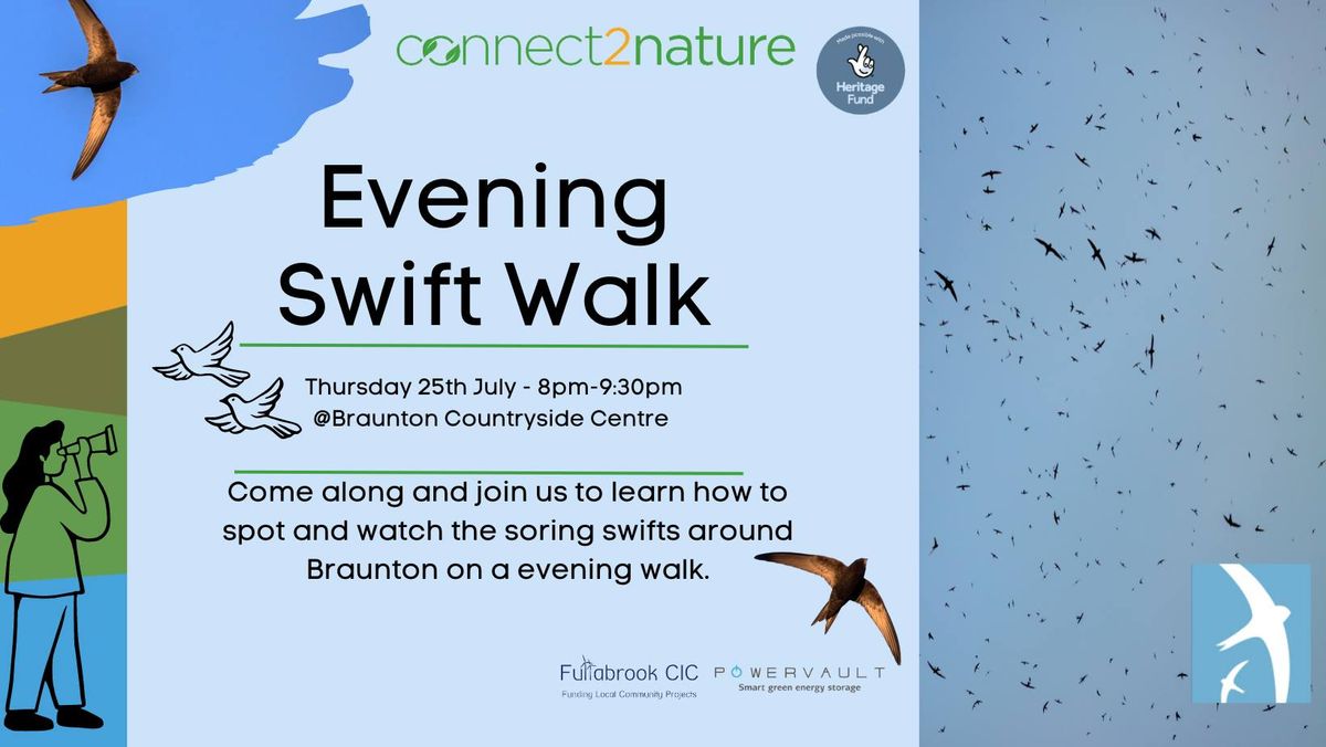 Evening Swift Walk
