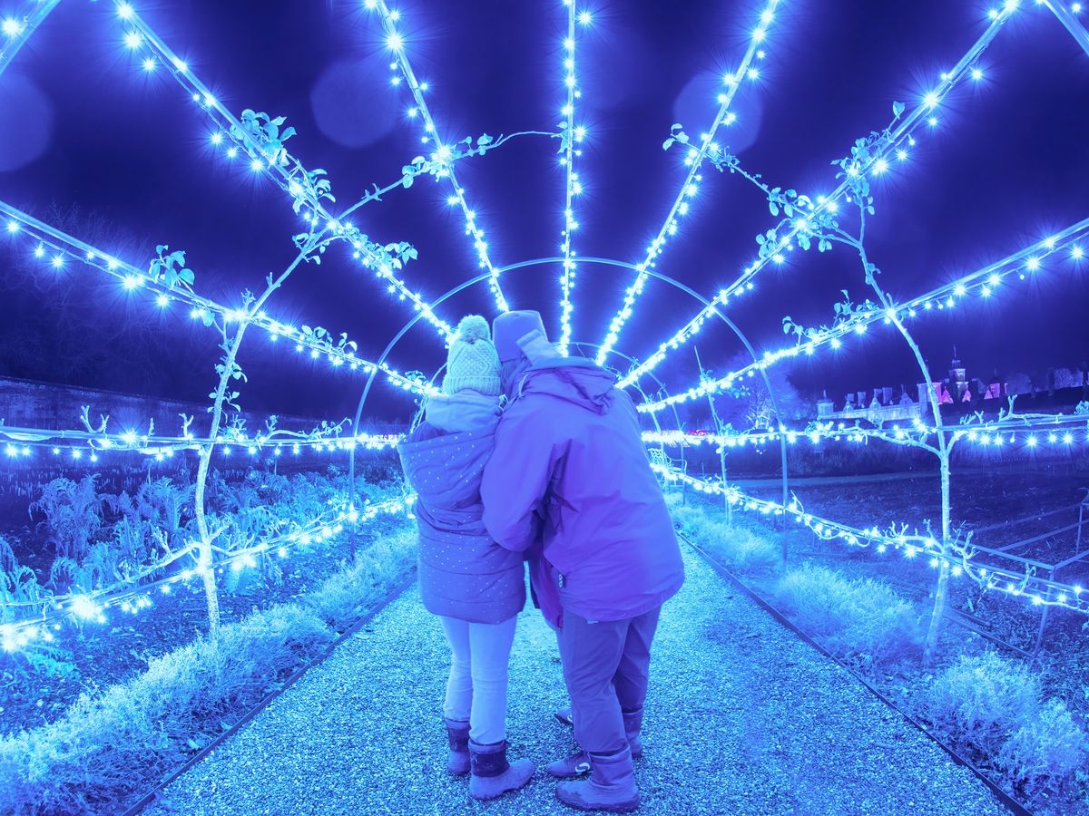 Enchanted Winter Walk at Quarry Bank