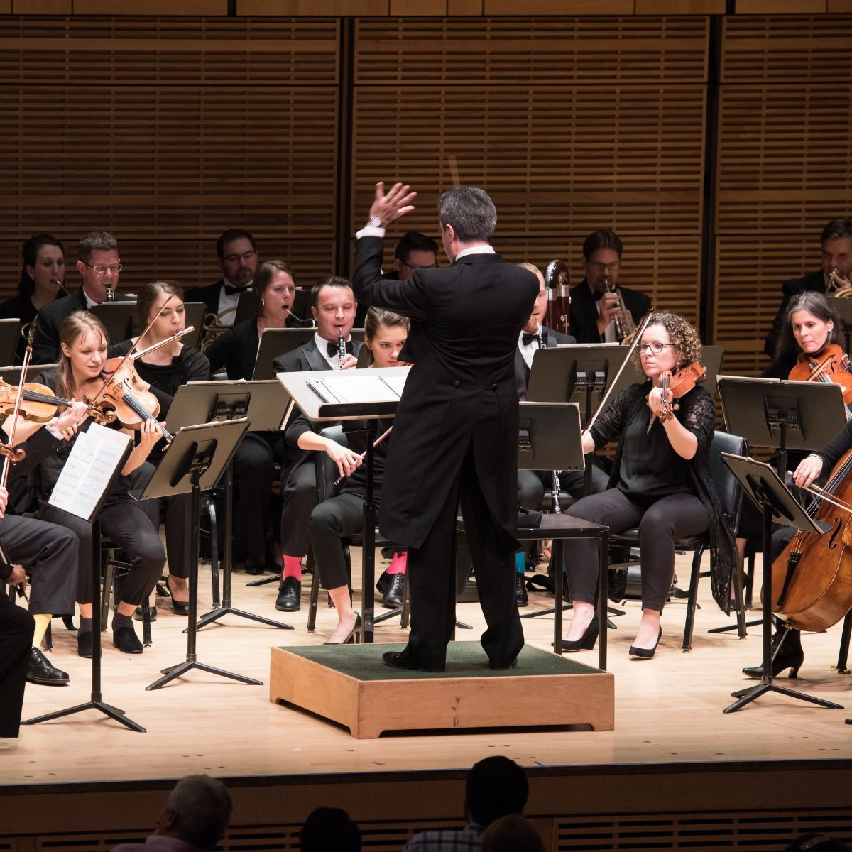 Waterbury Symphony Orchestra: Strings Attached