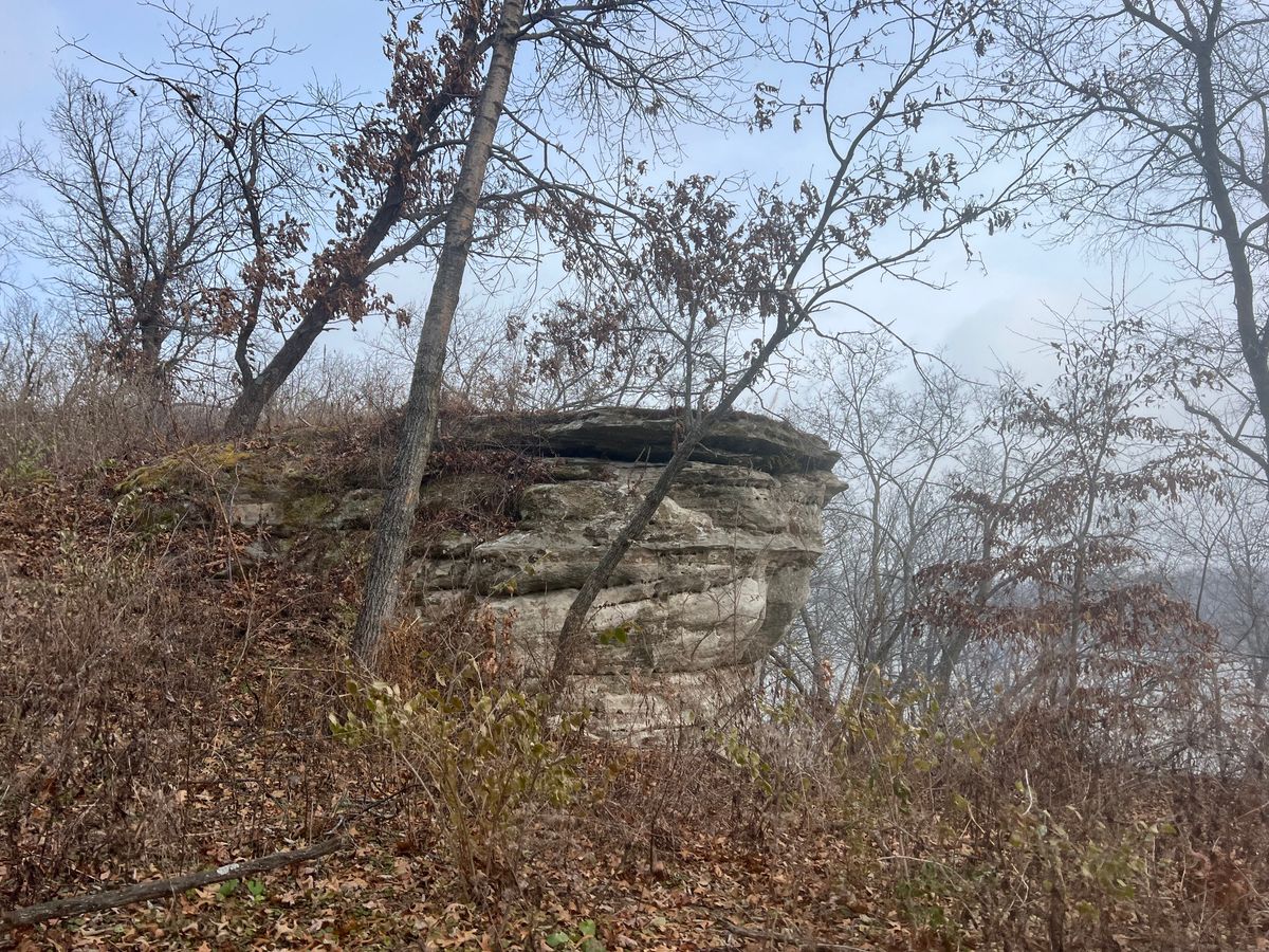 Castle Rock Eco-Restoration Workday, Ogle County