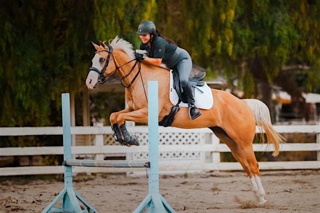 Equine Jumping Photography Workshop - Outdoor  -  Anabel DFlux - LA