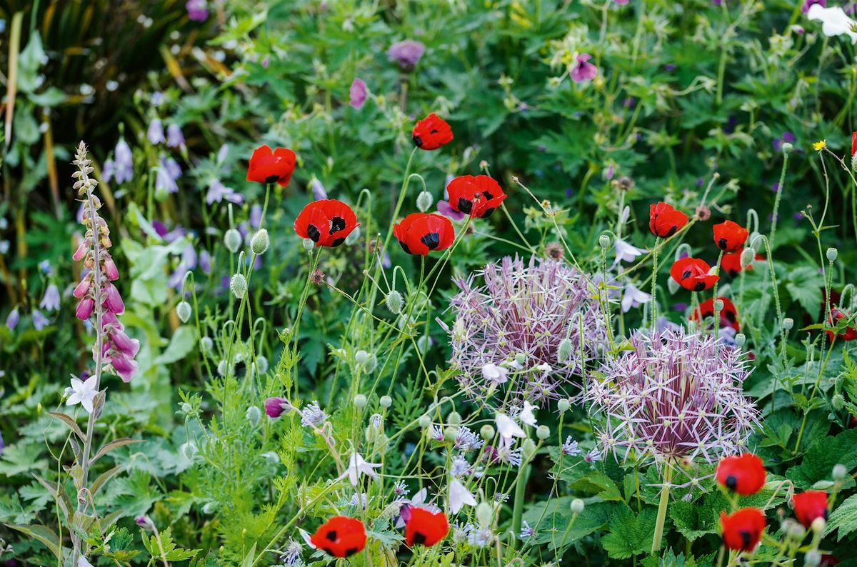 'A Year in Bloom' Book Event & Afternoon Tea with Lucy Bellamy