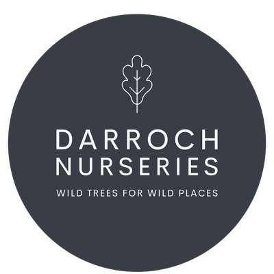 Darroch Nurseries