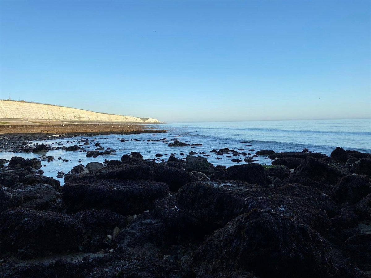 Coastal Foraging Workshop - Brighton - Sea Vegetables and Sea W**d.