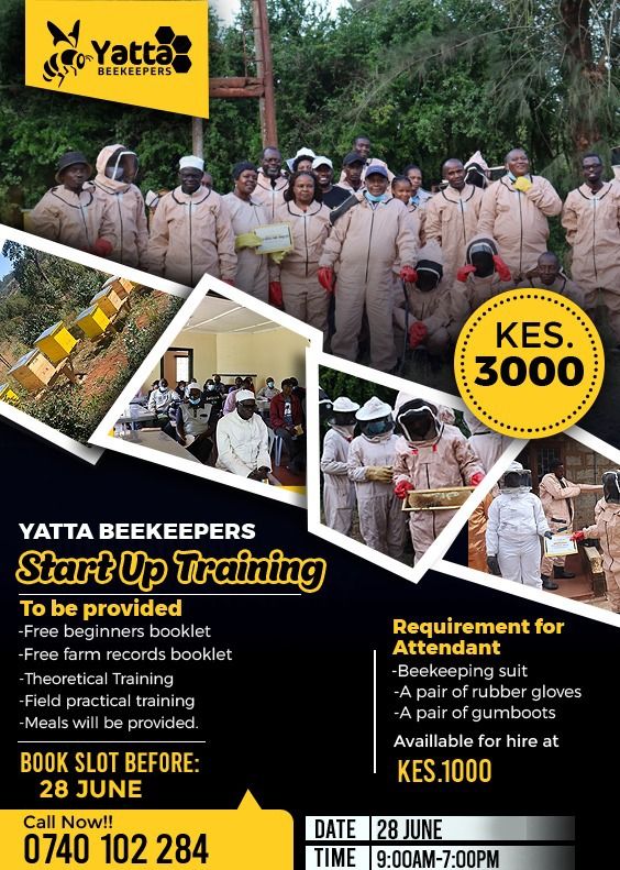 Beekeeping training