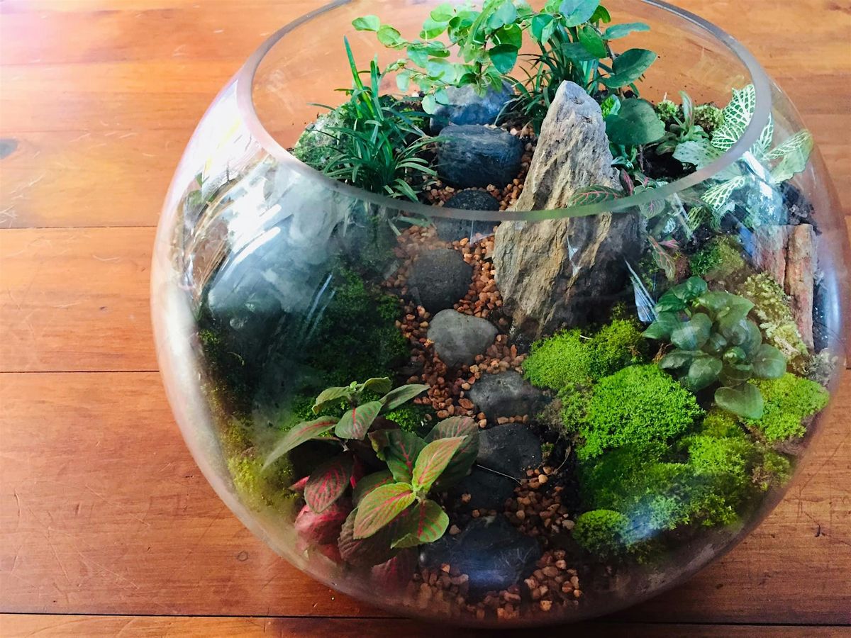 Large terrarium workshop