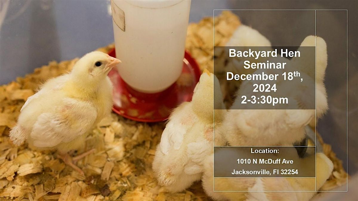 December Backyard Hen Training