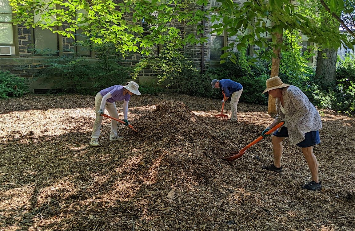 Mulching 101