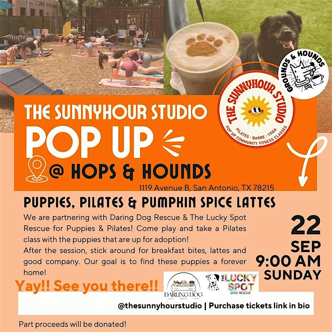 Puppies, Pilates& pumpkin spice lattes @ HOPS&HOUNDS x The Sunnyhour Studio