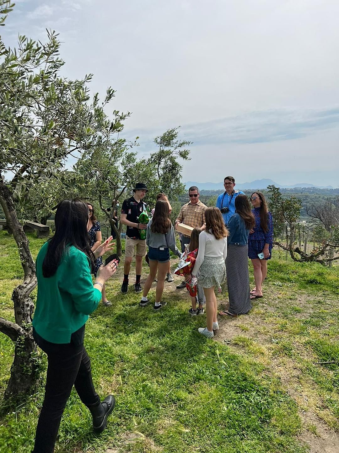 Degustazione di vini e visita guidata nei Campi Flegrei