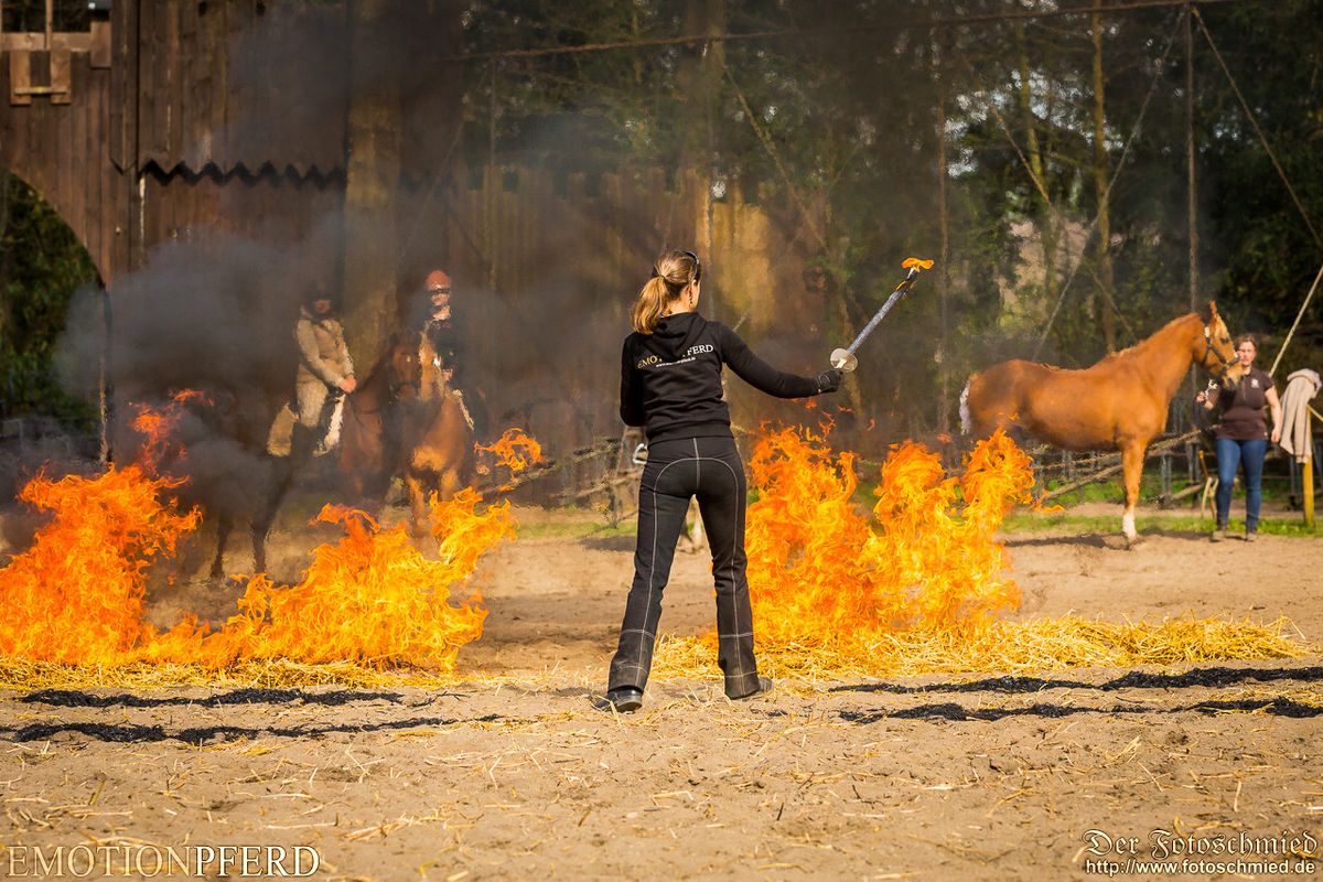 Feuerkurs - Herangehensweise f\u00fcr Pferd & Reiter