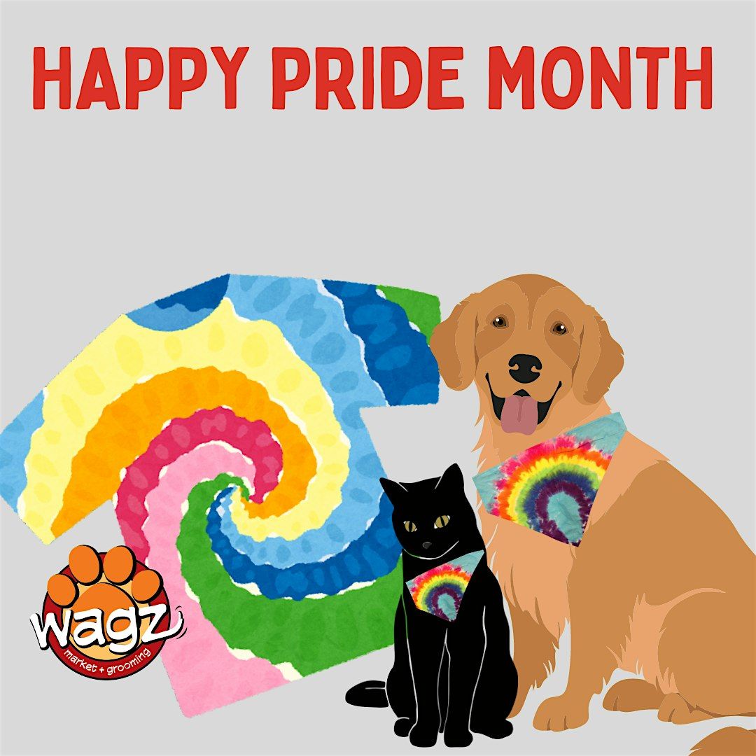 Pride Month: Dog & Me Tie Dye Station