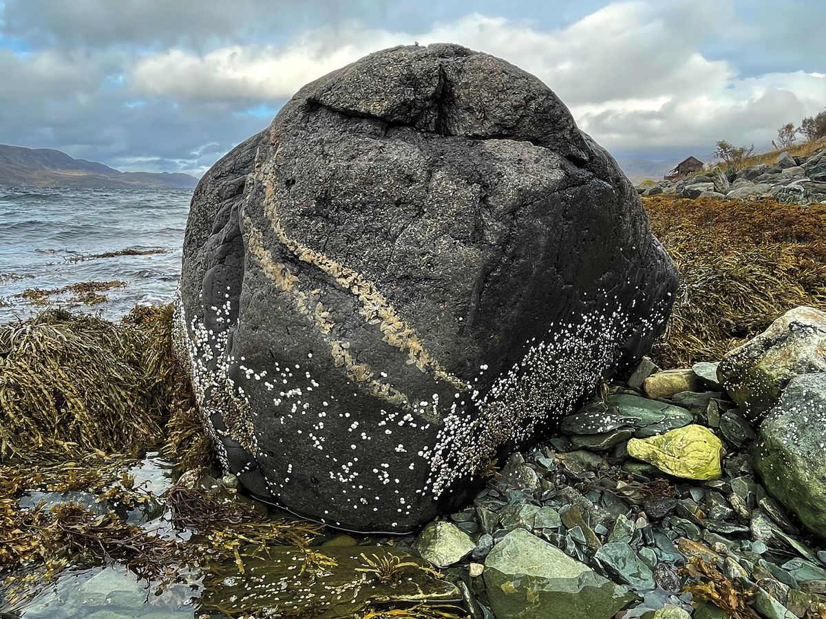 STEIN ALIVE - Fotokunst av \u00c5ge Eriksen