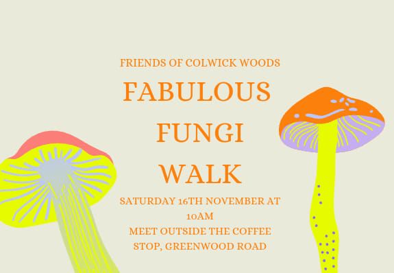 Fabulous Fungi Walk 