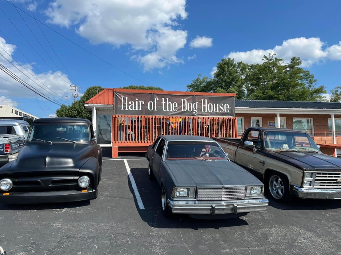 Live Music at Hair of the Dog House