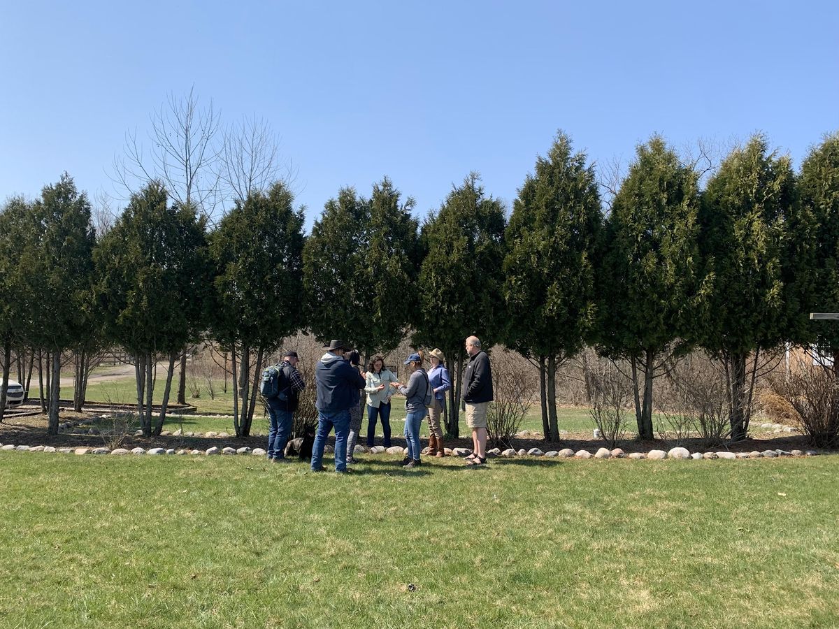 Beginner Tree Identification Course with Sierra Hucthens, Inspiration ...