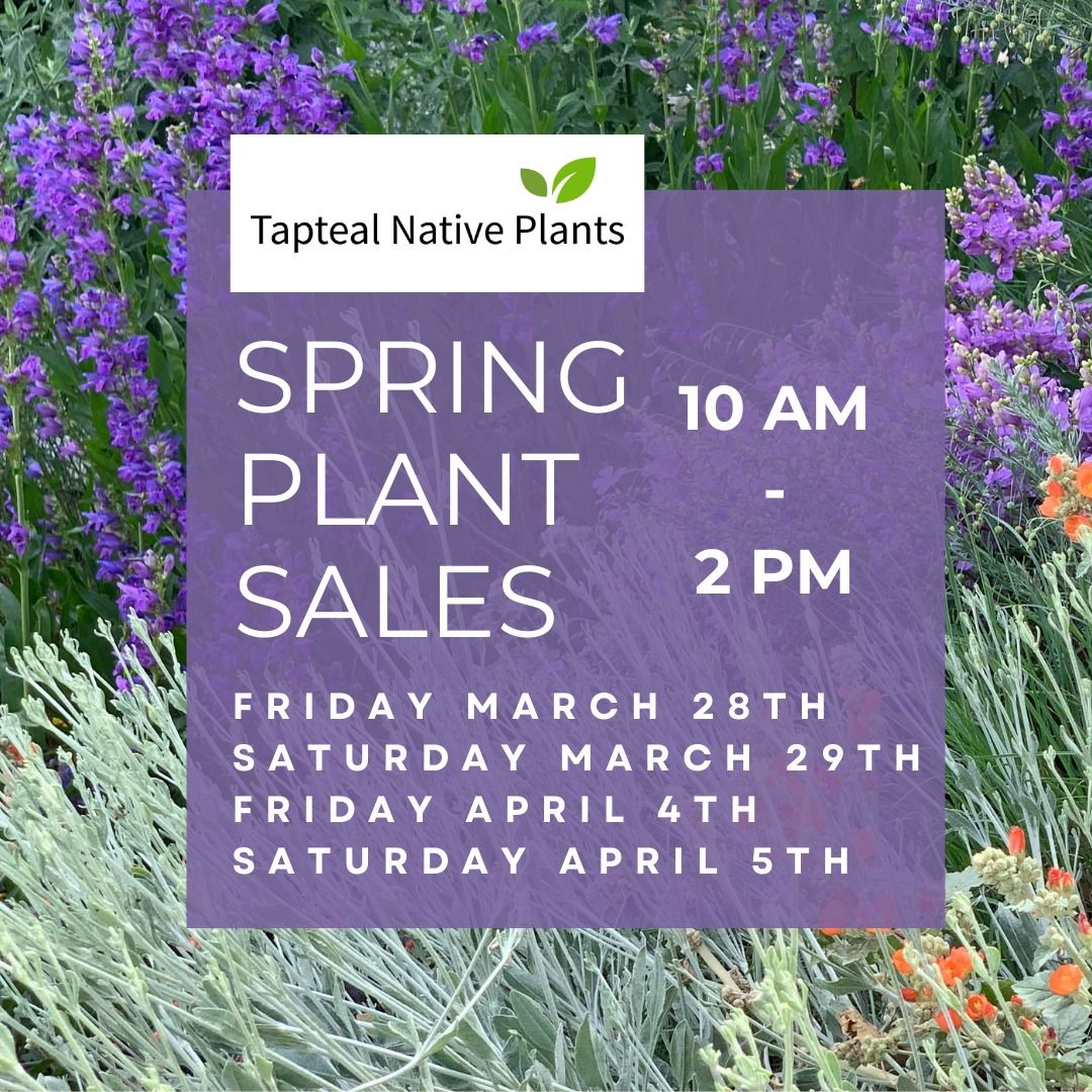 Spring In Person Plant Sales