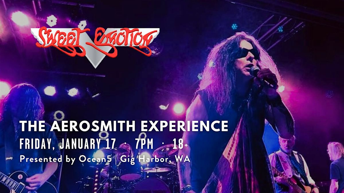 SWEET EMOTION - The Aerosmith Experience Tribute