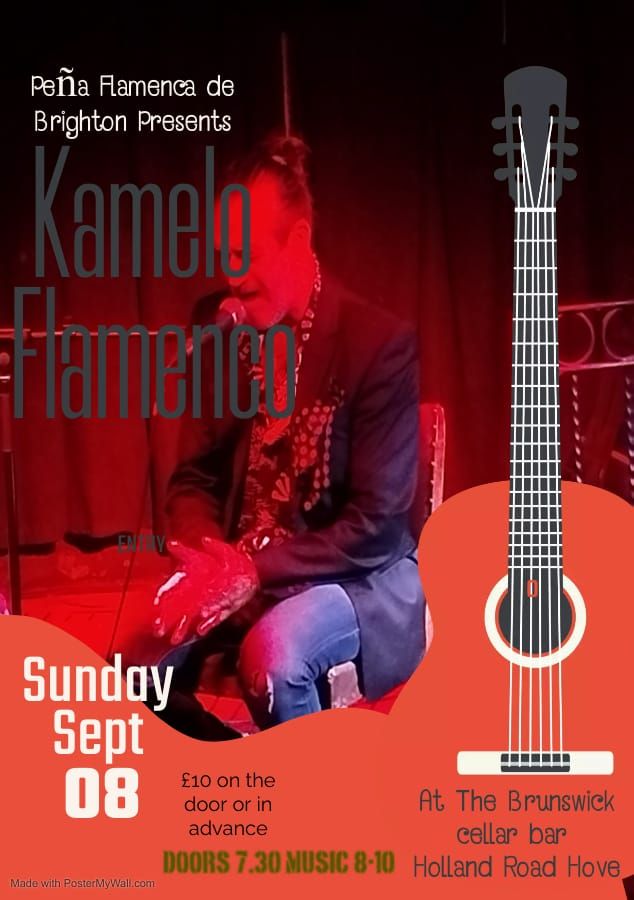 Kamelo flamenco