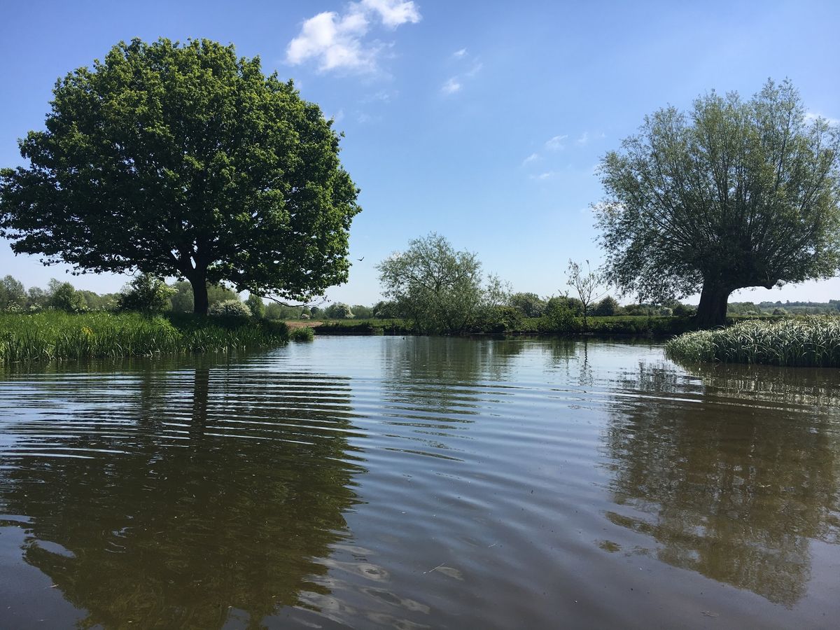 Stour Valley Half Marathon 