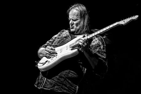 Walter Trout