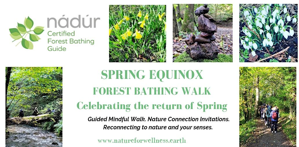 Spring Equinox Forest Bathing Walk- Hermitage of Braid