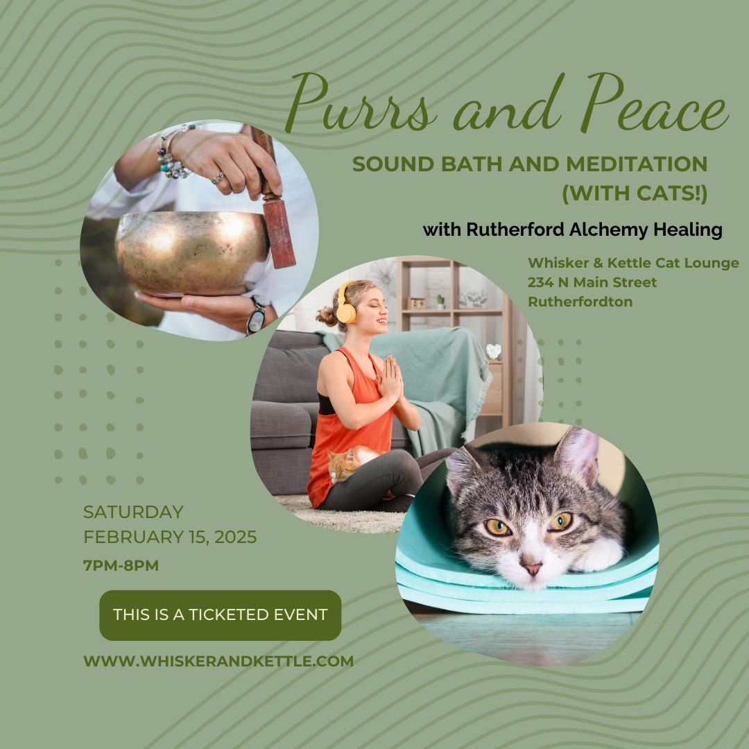 Purrs and Peace Sound Bath and Meditation (FEB)