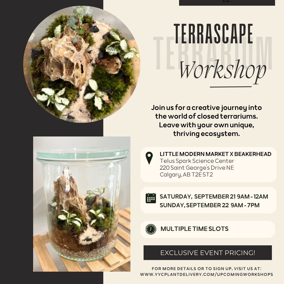 Terrascape Closed Terrarium Workshop *multiple timeslots*