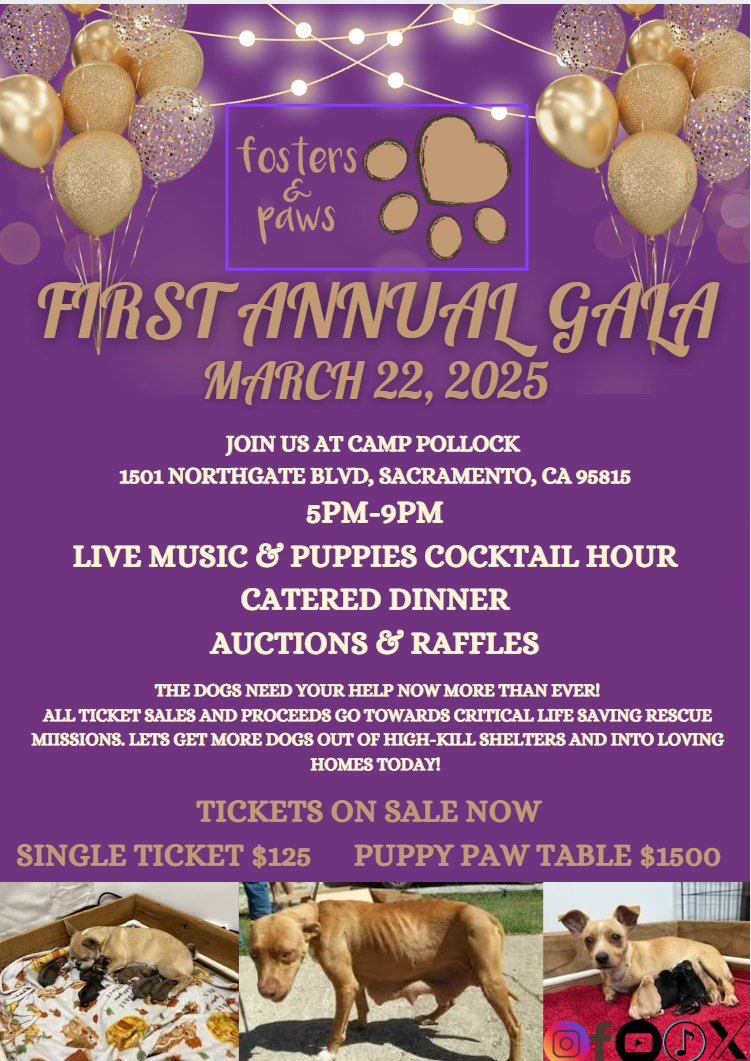 First Annual Fundraiser Gala