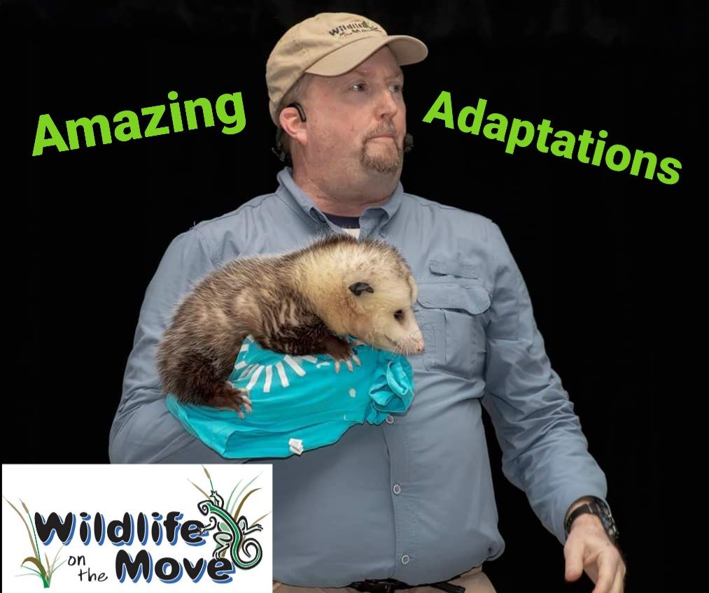 Wildlife On The Move Presents Amazing Adaptations at Westlake Academy (Westlake, TX)