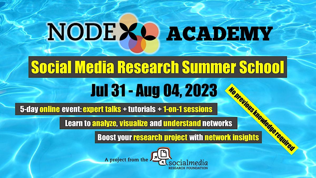 2024 Summer School: social networks & NodeXL Pro - a few clicks to insights