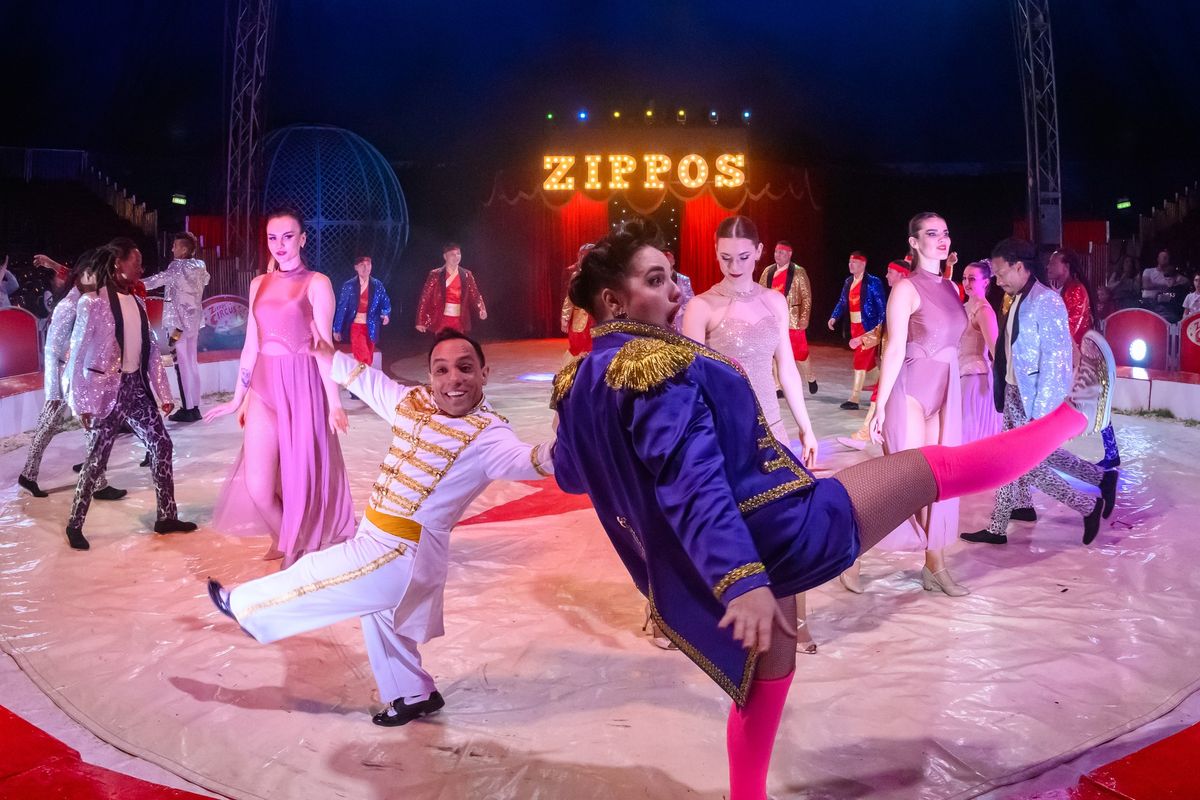 Zippos Circus \u2013 Peckham Rye 26\u201330 September 2024 (Promo code FPR45 saves up to 30% off tickets!)