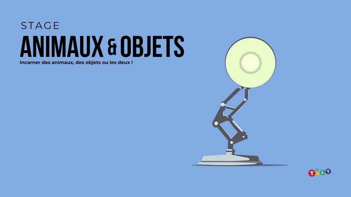 Stage - ANIMAUX & OBJETS