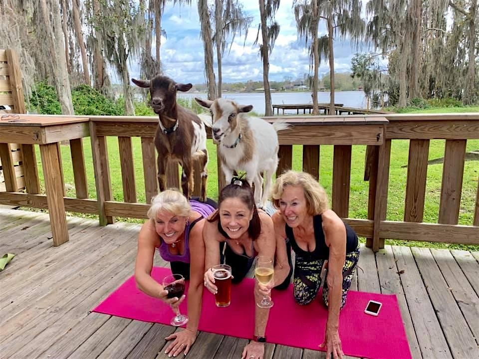Goat Yoga Tampa lakeside @ In the Loop Brewing in Land O Lakes; 6\/30\/24